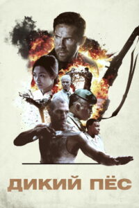 Дикий пёс (2017)