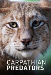 Карпатские хищники (2019)