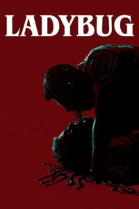 Божья коровка (2024)