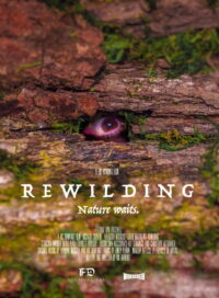 К истокам (2023)