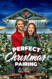 Идеальное рождественское сочетание (2023)
