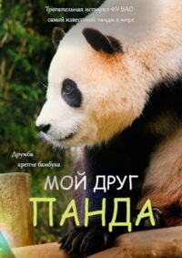 Мой друг панда (2024)