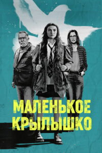 Маленькое крылышко (2024)