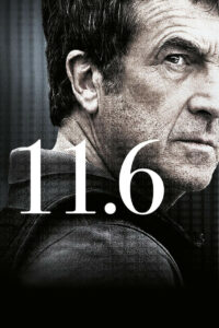 11.6 (2013)